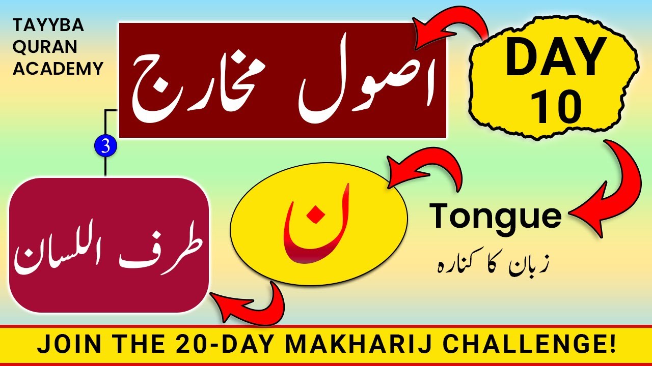 Usool e Makharij Day-10➤Makharij al huroof tajweed | Huroof e Tarafiyyah/Zalaqiyyah NOON طرف اللسان
