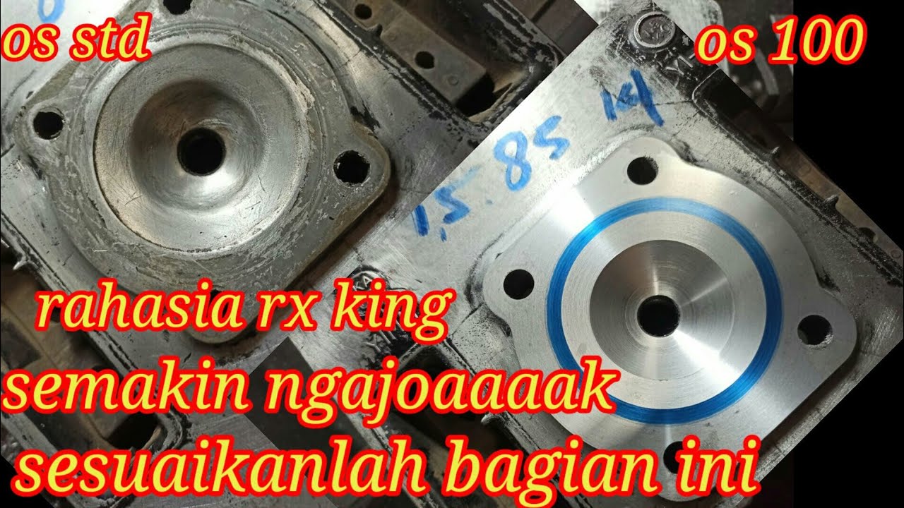 papas squish head rx king os 100