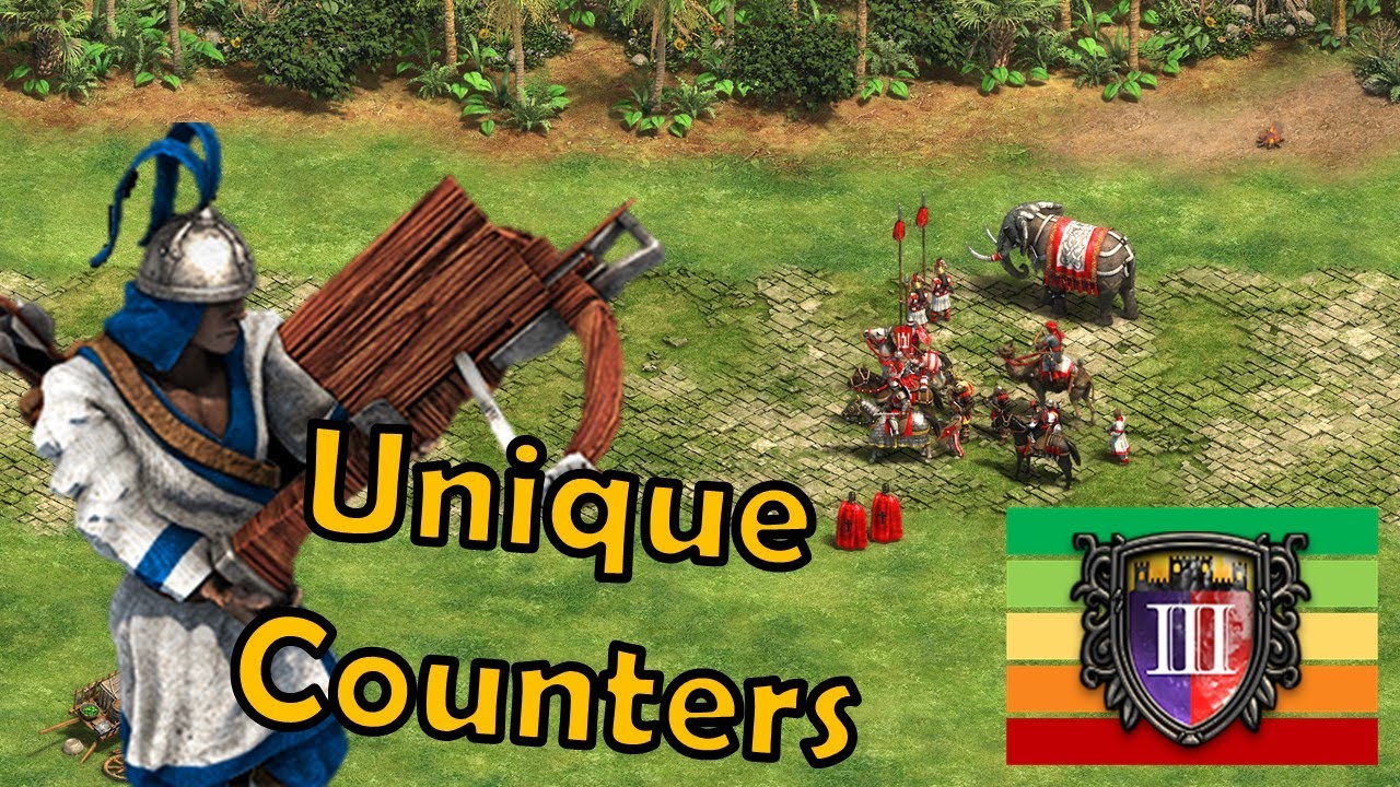CHU KO NU | Best UNIQUE Counters | Castle Age | Age of Empires 2