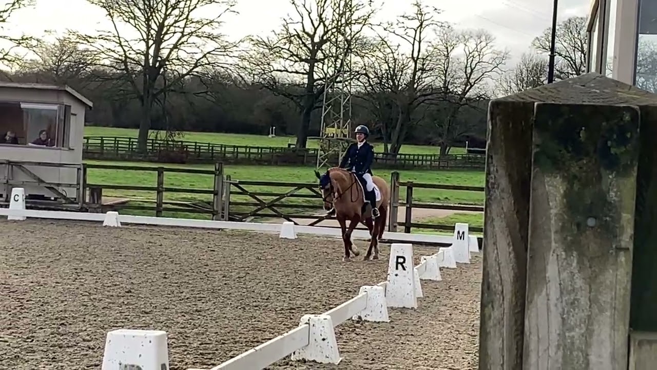 Sillan Clementine BD Elementary Test 5 2024 PetPlan Area Festival Parwood Equestrian Centre 31.01.26