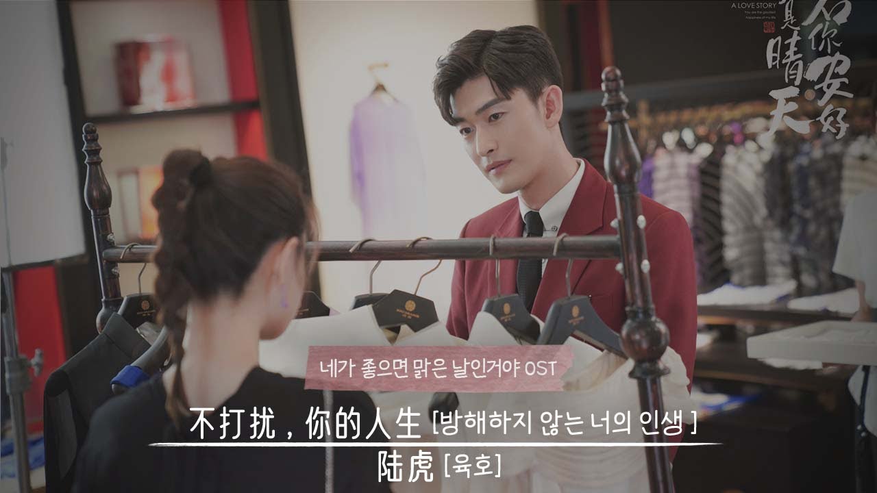 네가 좋으면 맑은 날인거야 若你安好便是晴天 OST 방해하지 않는 너의 인생 不打扰,你的人生(부타우,니적인생) |  가사번역 歌词 (lyrics)