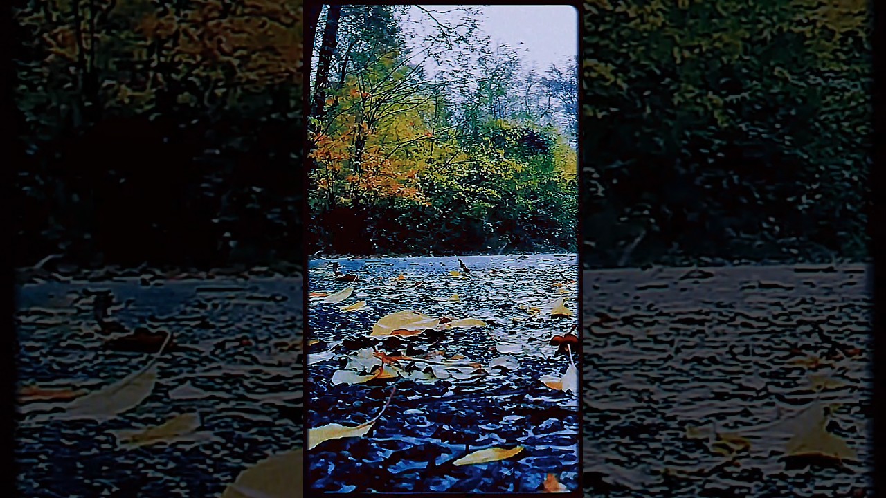 autumn vibe🍂🌧️ firrfly - press stop #phonk #lofi #newmusic #undergroundmusic #aesthetic #rainvibes