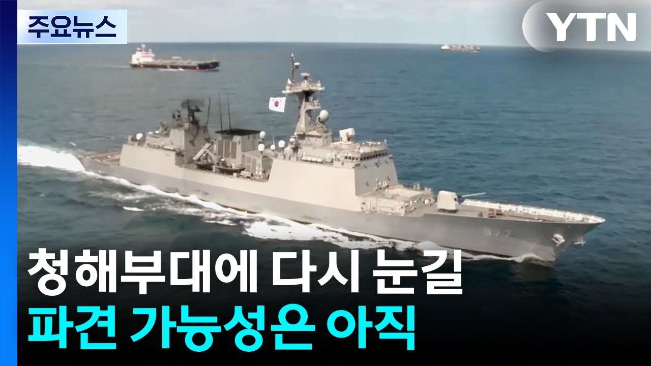 청해부대에 다시 눈길...파견 가능성은 아직 / YTN