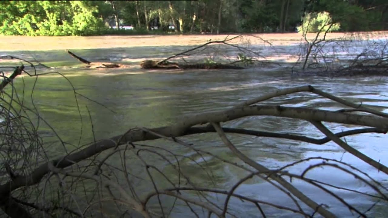 Lernen vom Fluss - Das Pilotprojekt Bad Deutsch-Altenburg
