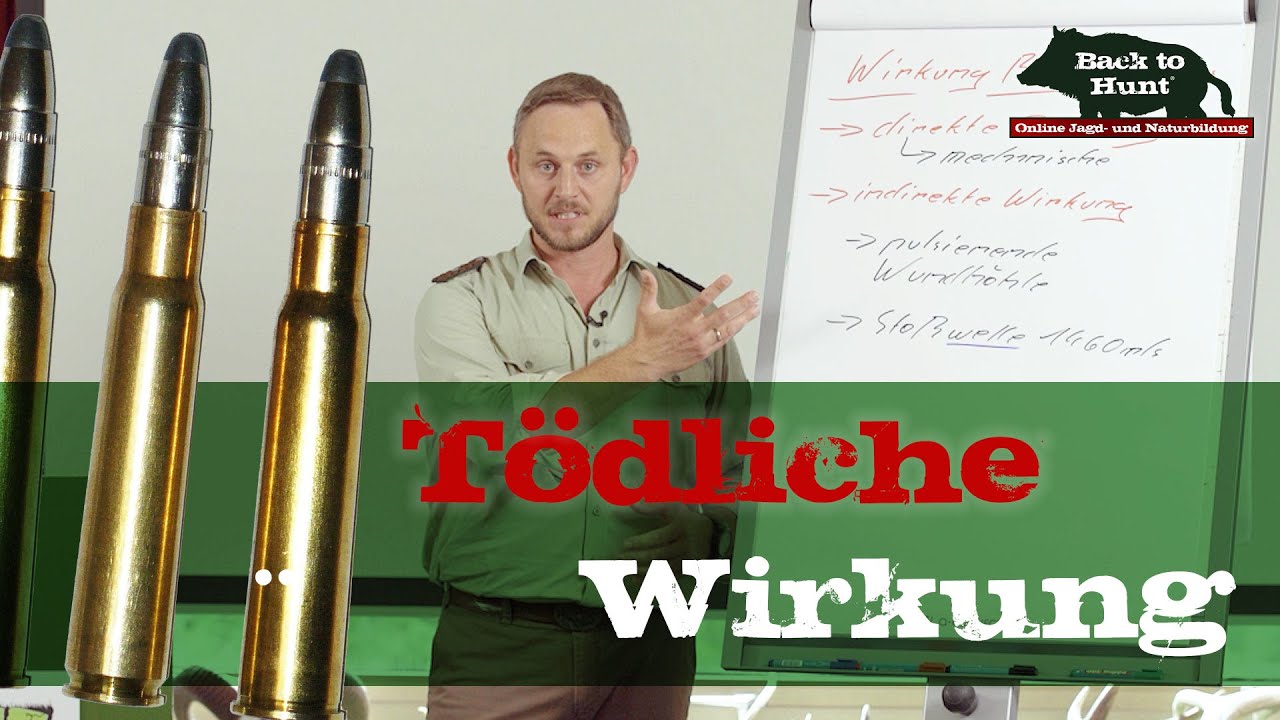 Tödliche Wirkung - Büchsenschuss | Back to Hunt