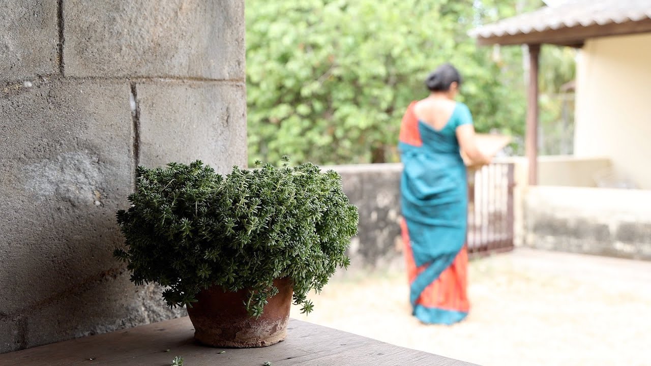 A Day in the Village | Peaceful Indian Countryside Life | Cooking & Everyday Rituals