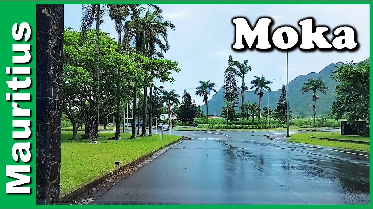 We drive around Moka in Mauritius