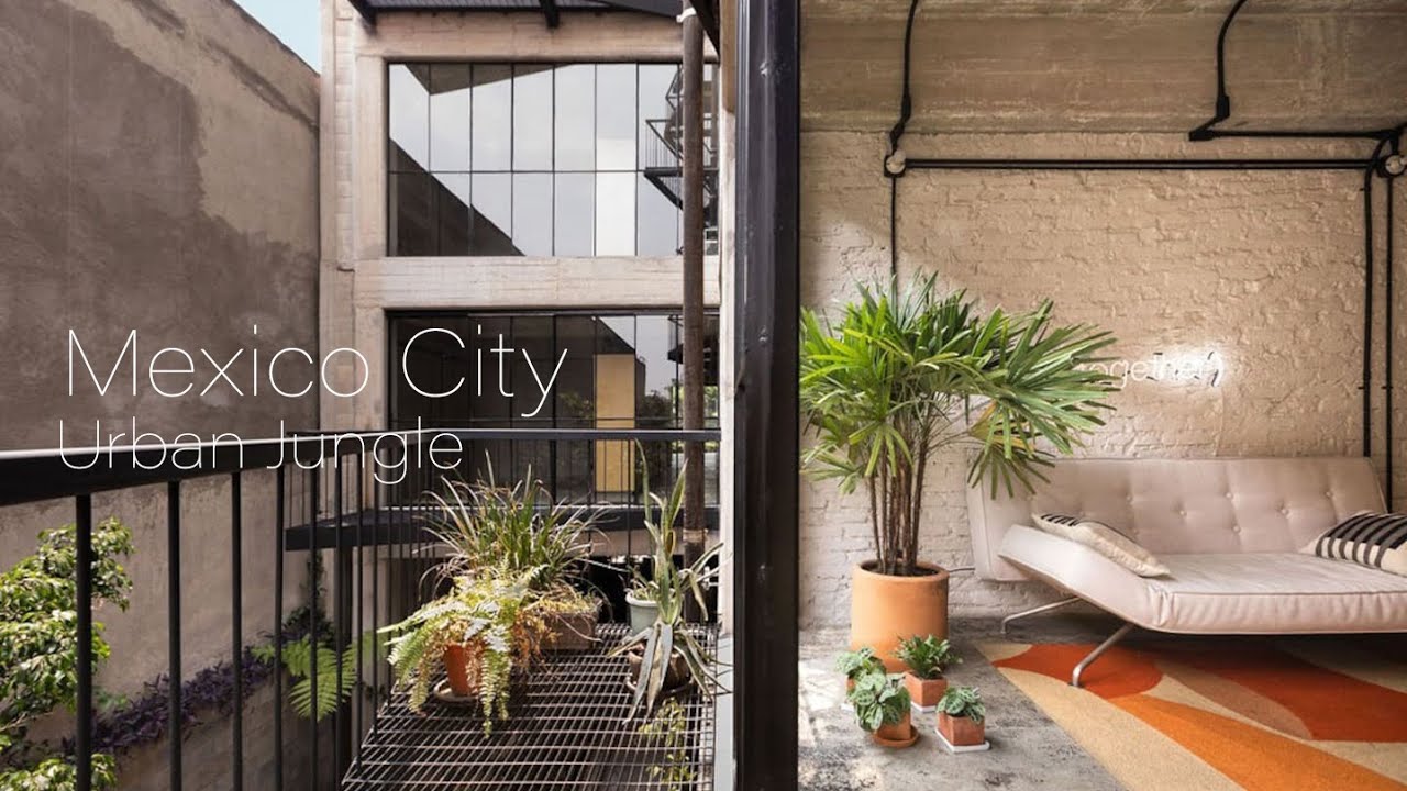 Mexico City Airbnb Tour | Urban Jungle