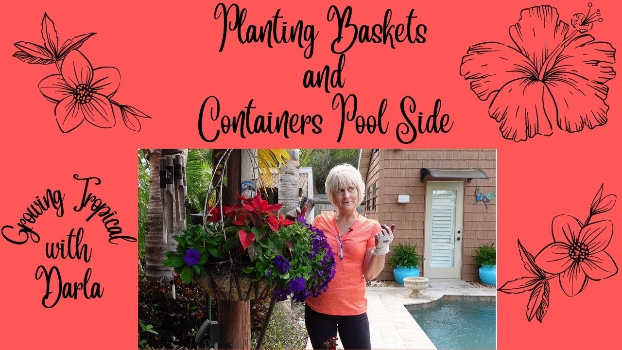 Planting Hanging Baskets and Clay Pot Containers Pool Side // Growing Tropical  🌴