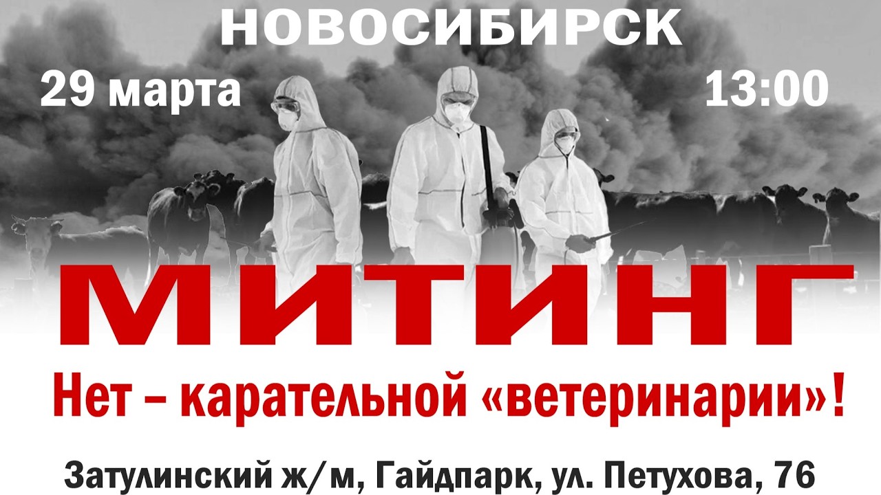МИТИНГ 29 МАРТА НОВОСИБИРСК. ПРОТИВ КАРАТЕЛЬНОЙ 