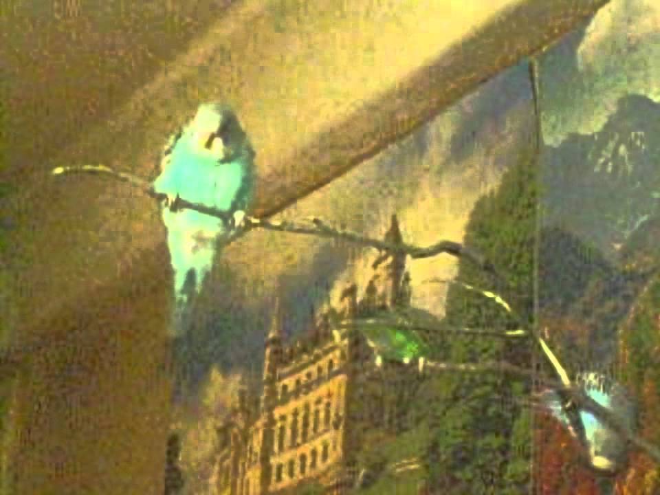 DSCN4960