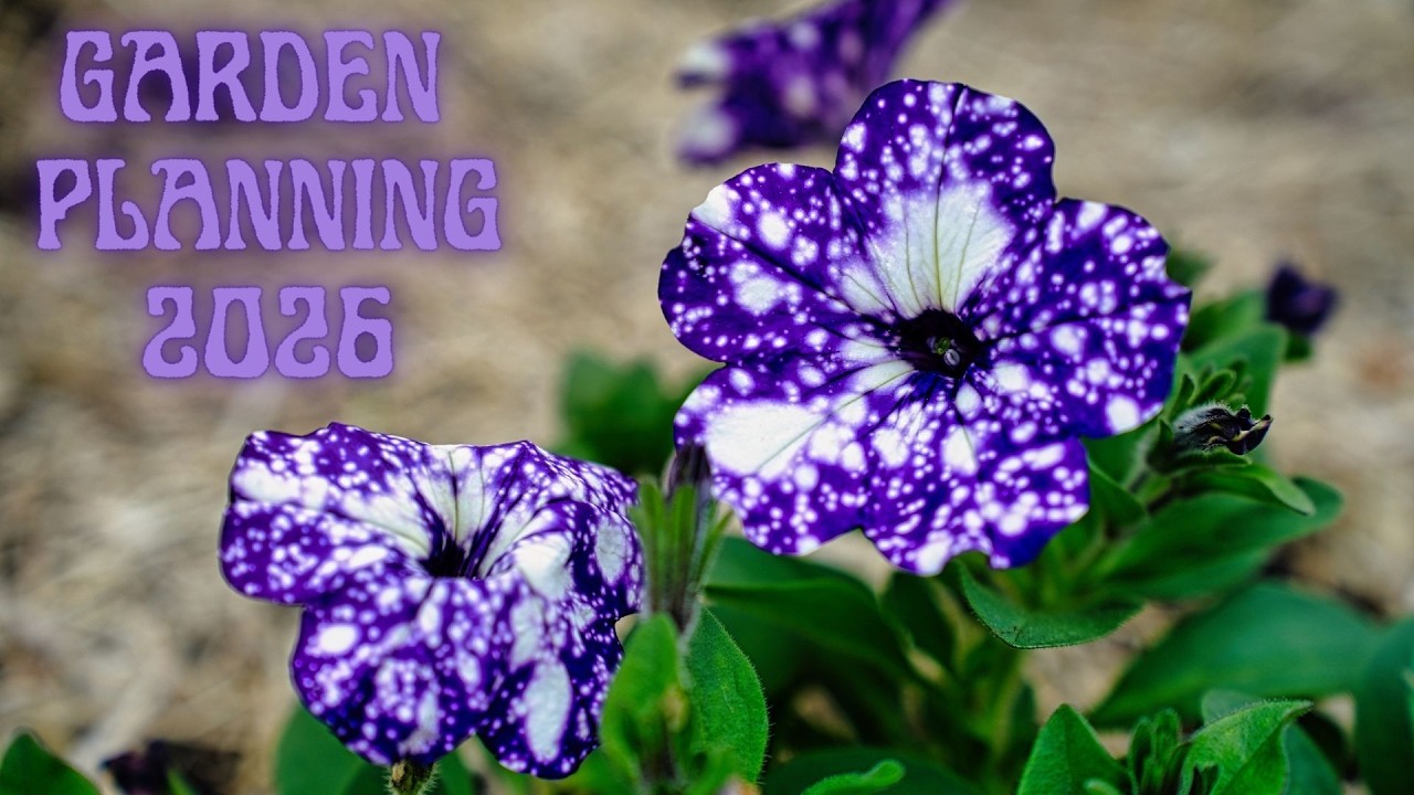 Garden Planning 2026