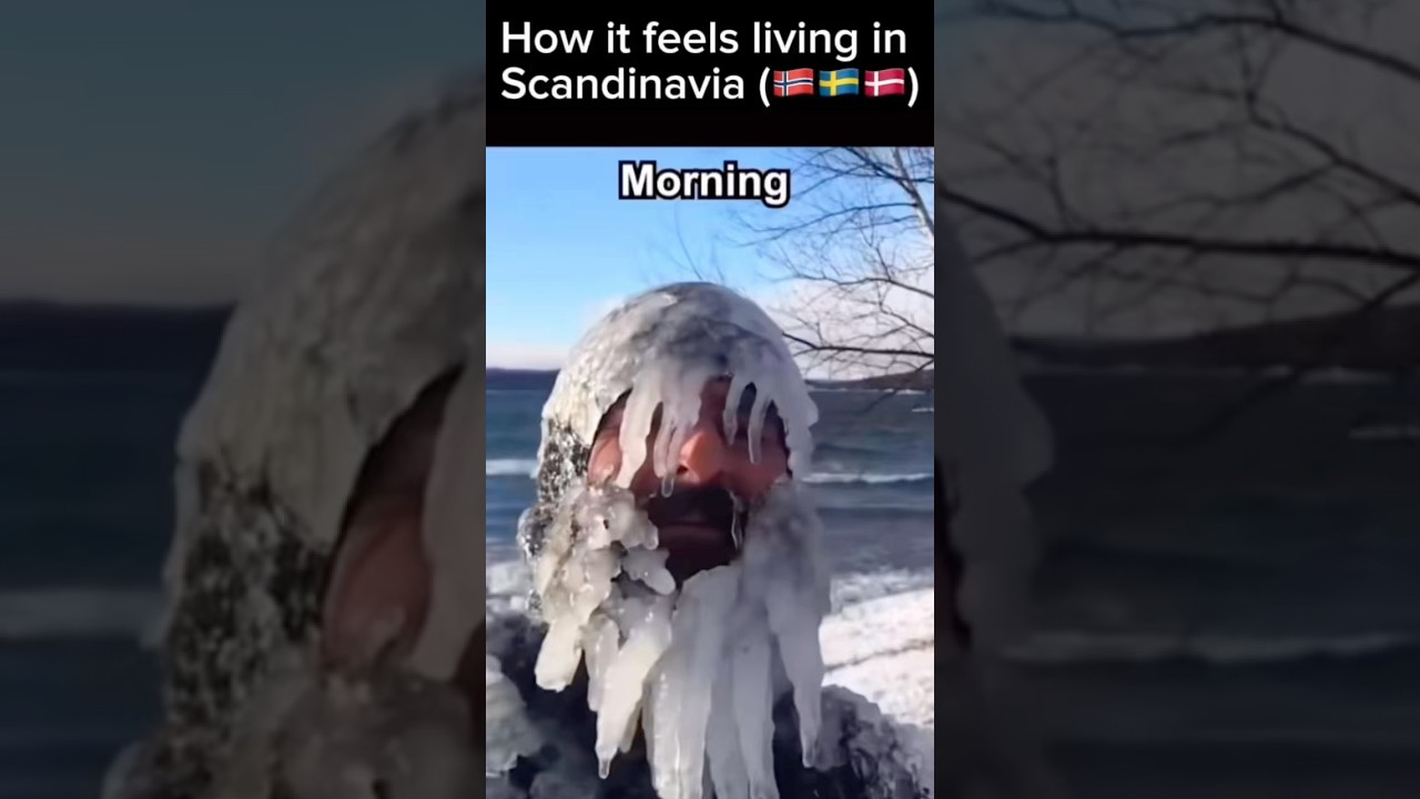 How It Feels Living In Scandinavia 🇳🇴🇸🇪🇩🇰 #Denmark #Scandinavia #Funny #Viral #Goviral #Fyp