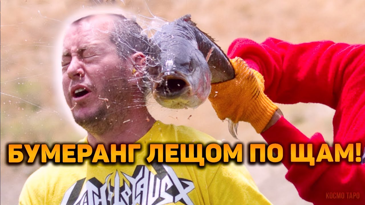 Да будет так, и так будет! БУМЕРАНГ лещом по щам!