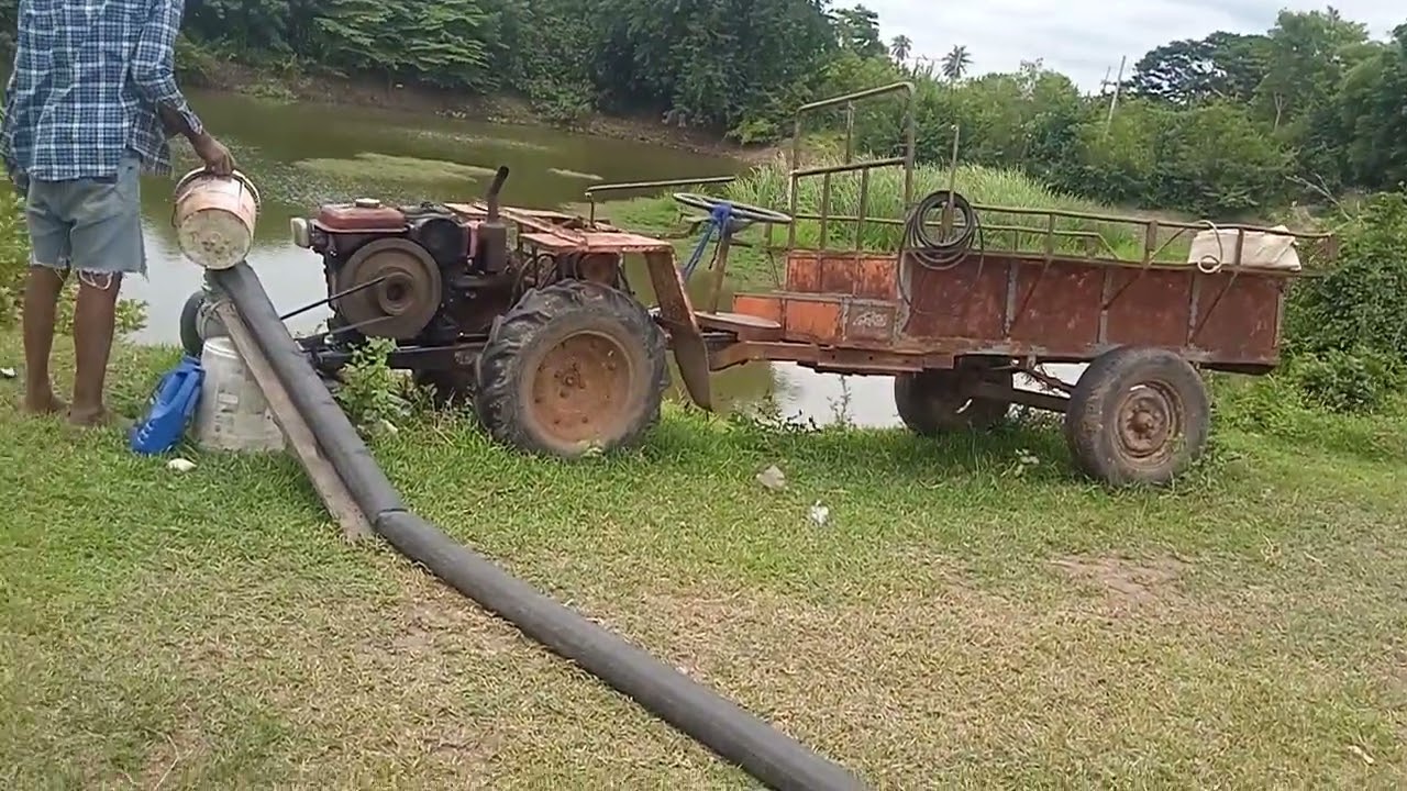 พาเพื่อนๆมาชมทุ่งนาที่โคก🌿🌱🌳🌾