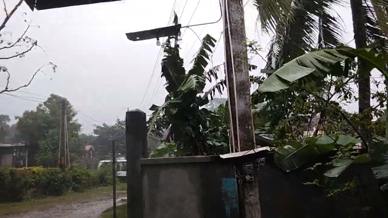 Tropical Storm Basyang (Penha) In Bohol Philippines 