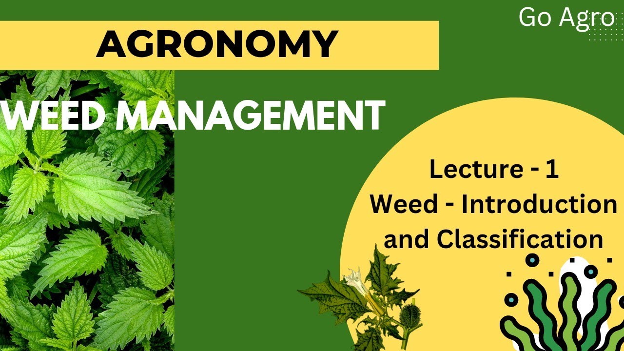 WEED MANAGEMENT | Lec - 1 Weed - Introduction and Classification | Go Agro
