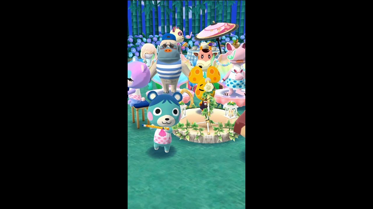 🐼CUTEST BAND #animalcrossingpocketcamp  #acpc #animal crossing pocket camp singing