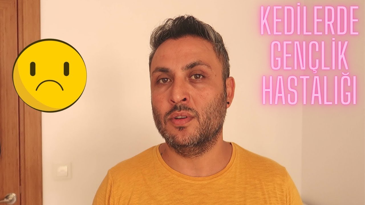 KEDİLERDE GENÇLİK HASTALIĞI BELİRTİLERİ VE TEDAVİSİ