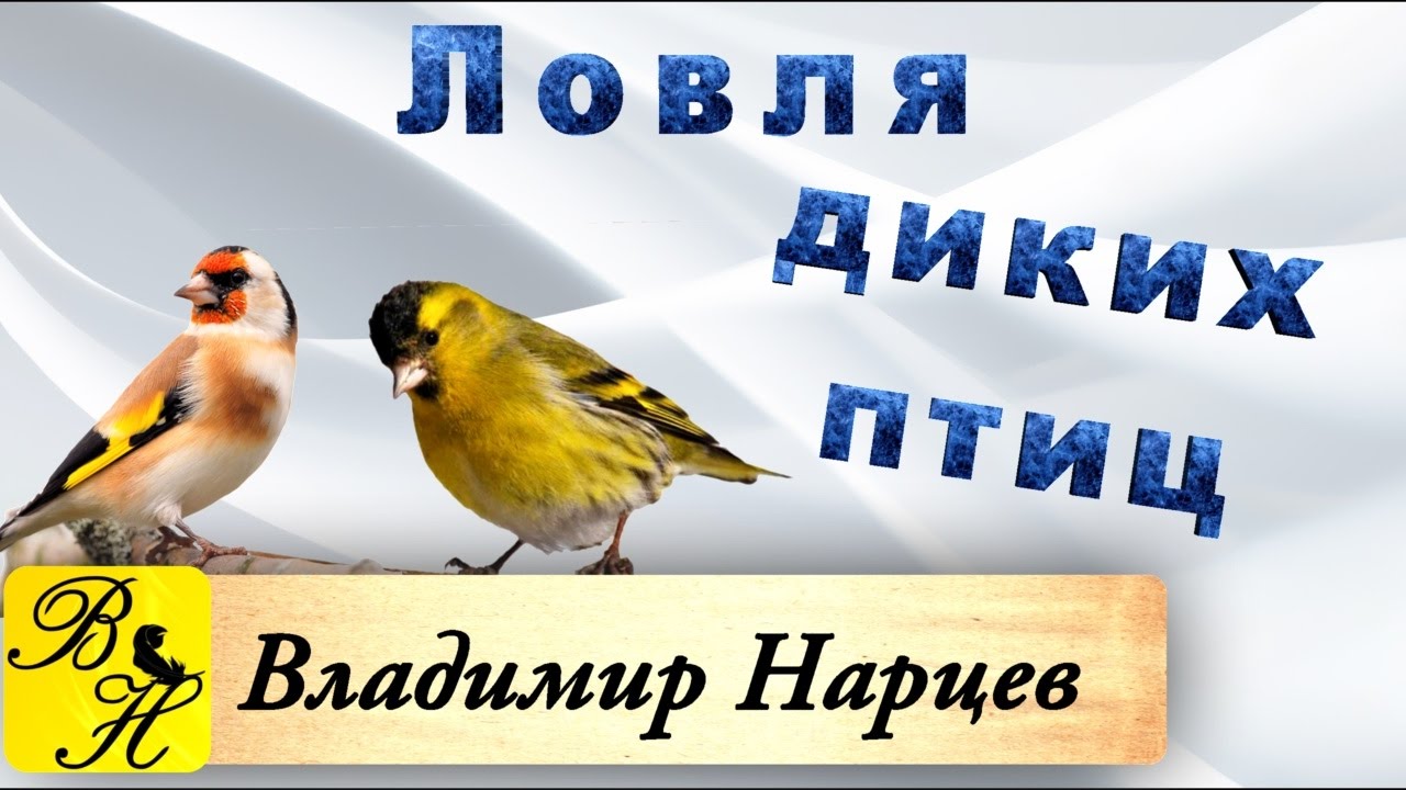 Ловля птиц на западок.