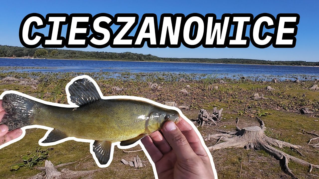 #03 Zalew Cieszanowice - długi sierpniowy weekend z wędką | 14-17.08.2024