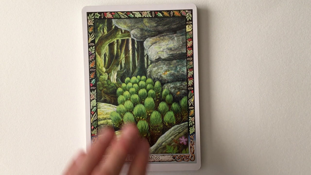 The Druid Plant Oracle | Flip Through