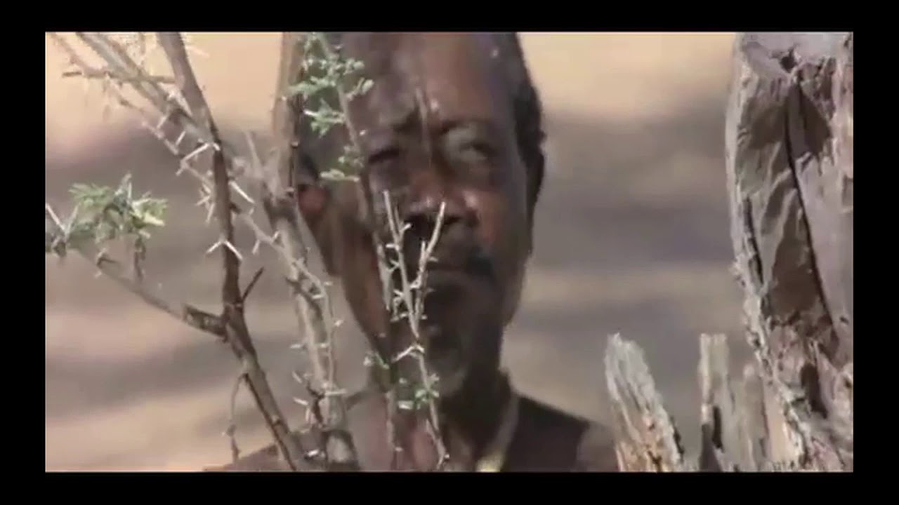 How to Catch a Monkey