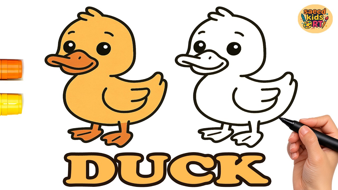 How to Draw a Duck Easy with Coloring || saeed kids art
