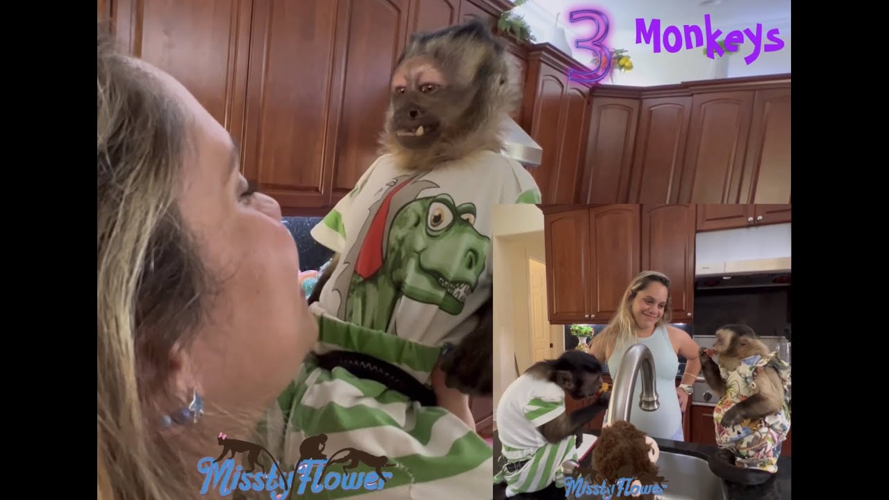Monkey Time with Crazy Sissy and her baby bump 😍🐒🐒🐒