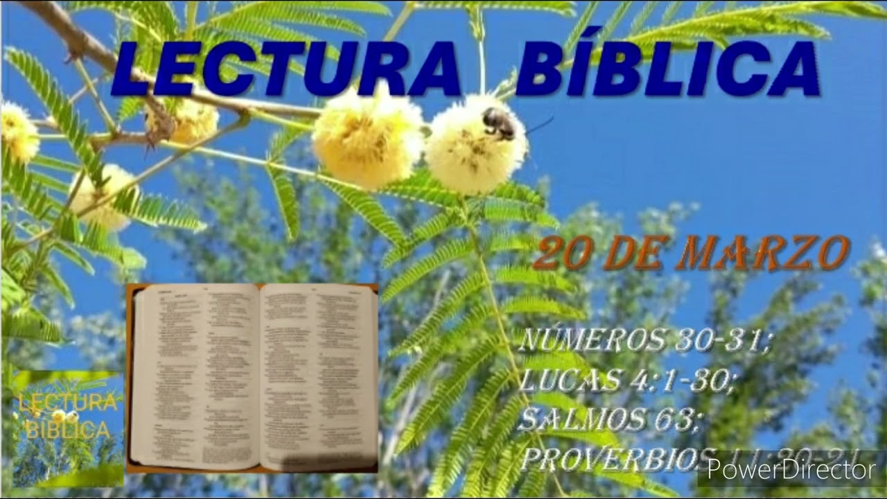LECTURA BÍBLICA DIARIA - 20 DE MARZO