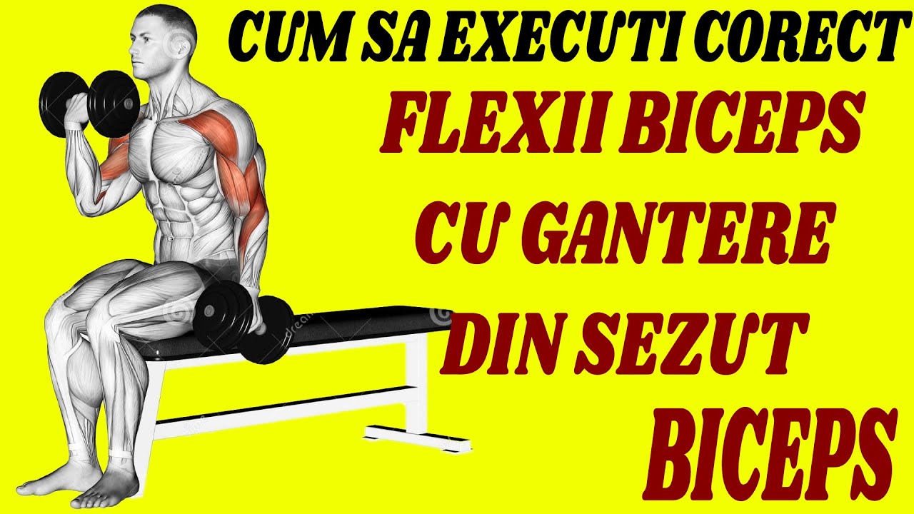 Flexii biceps cu gantere din sezut - Cum sa executi corect !