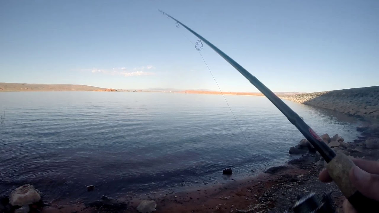 Top Water Bass Fishing with a Whopper Plopper | Sandhollow Reservoir