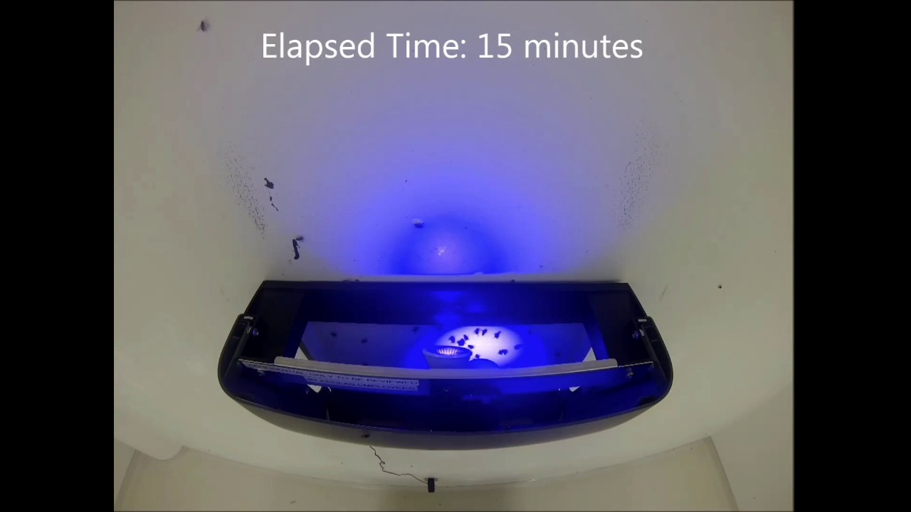 STEALTH LED Fly Light Demo
