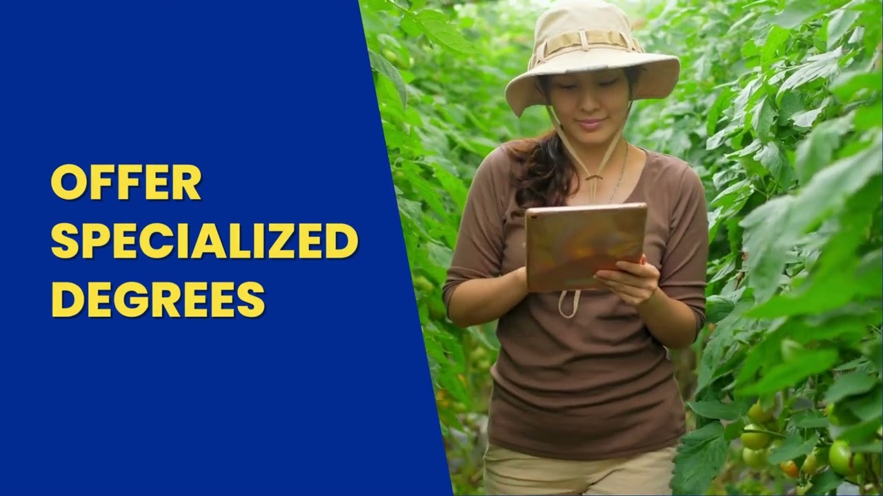 Transnational Higher Education in the Philippines