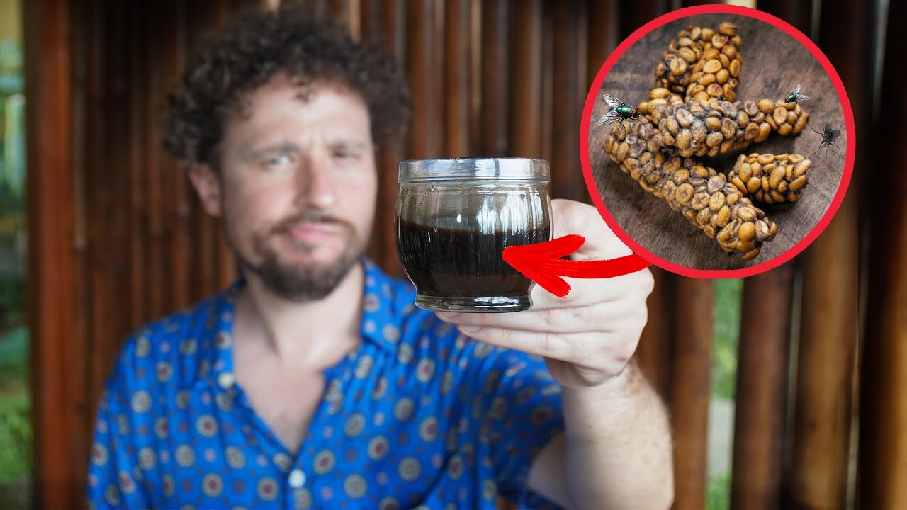 Пробуем КОФЕ ИЗ КАКОВ | Какой он на вкус и почему такой дорогой?