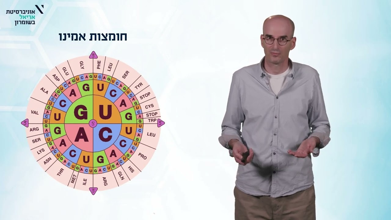 חומצות אמינו - מבנה כללי