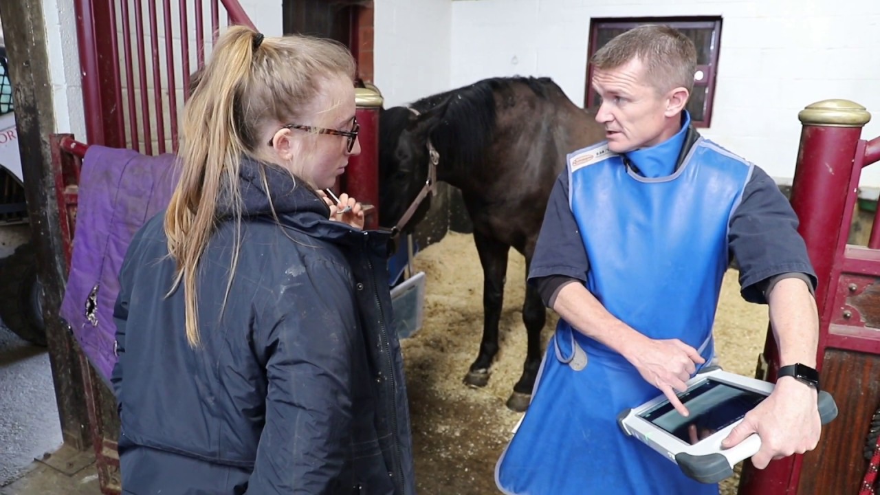 Farr & Pursey Equine Veterinary Services review: Slate Hub & Sonoslate X-ray & Ultrasound scanner