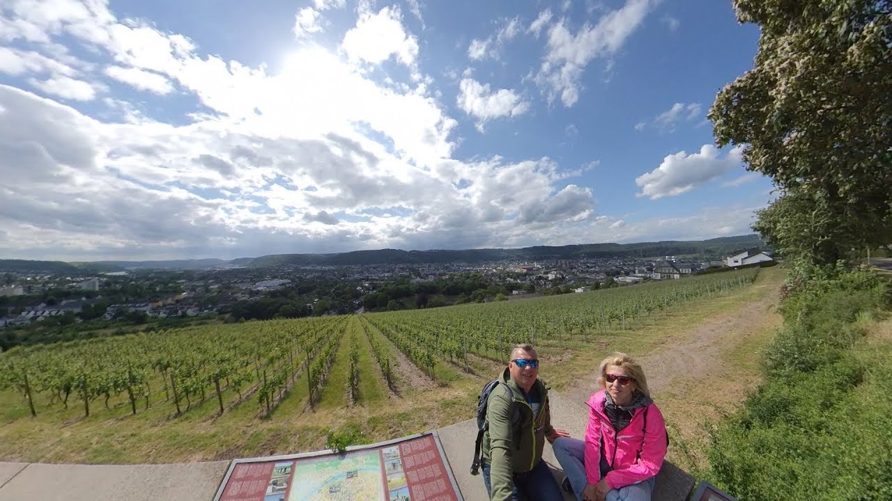 Mosel.  Riol.  Trier.