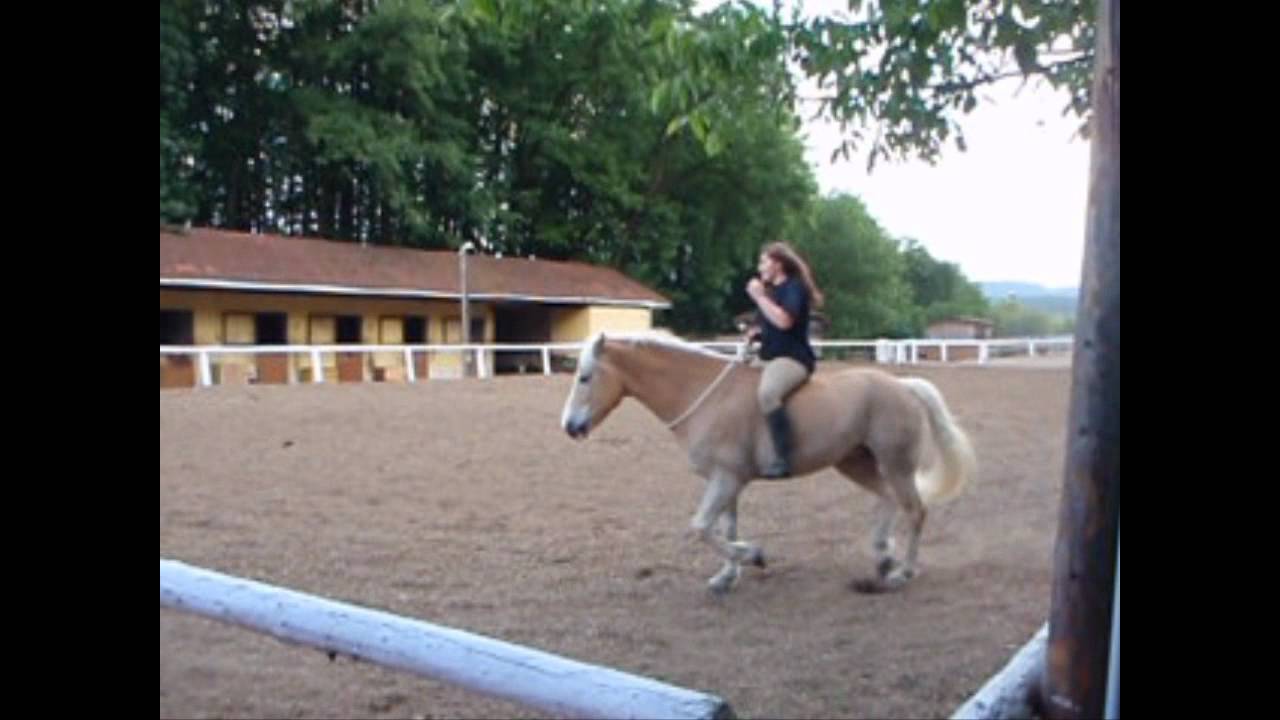 Einfach nur Spa&szlig; am Reiten ^^