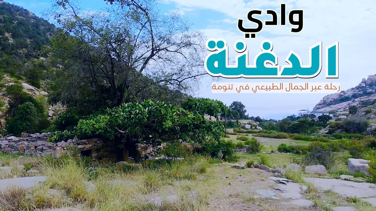 الأربوعة في تنومة
