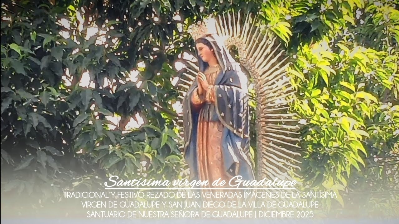La jefa de papá Chente / Procesión de la virgen de Guadalupe | 12 de diciembre