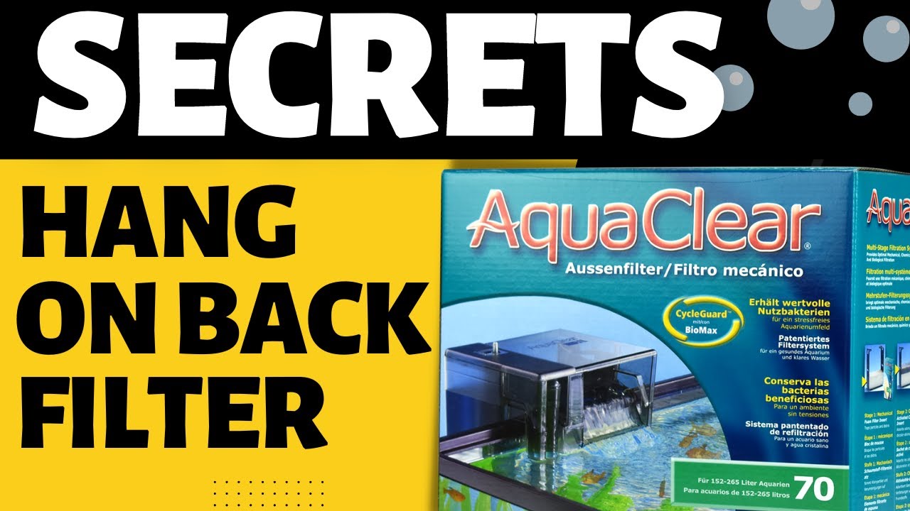 Secrets To A Better Hang On Back Filter
