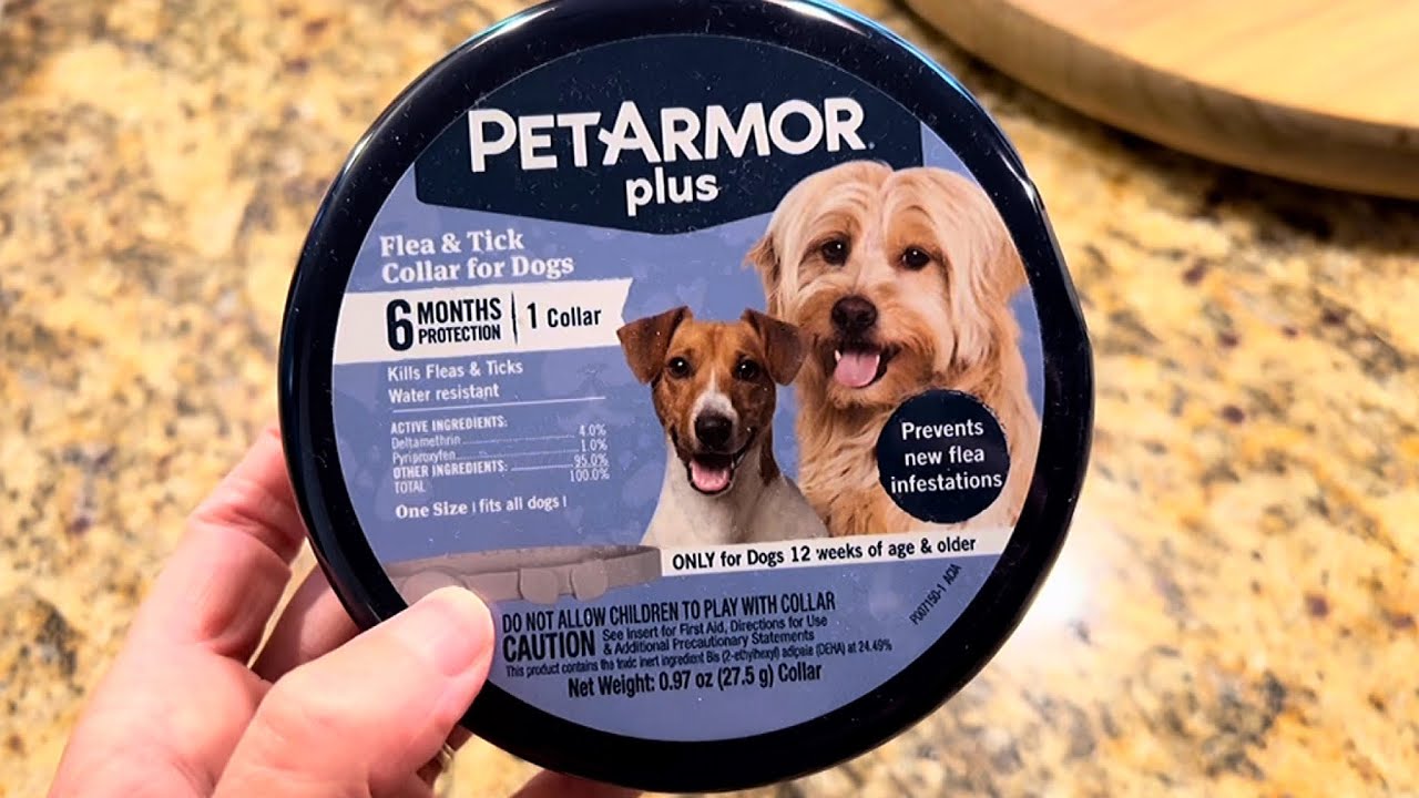 PetArmor Plus Flea & Tick Collar for Dogs REVIEW