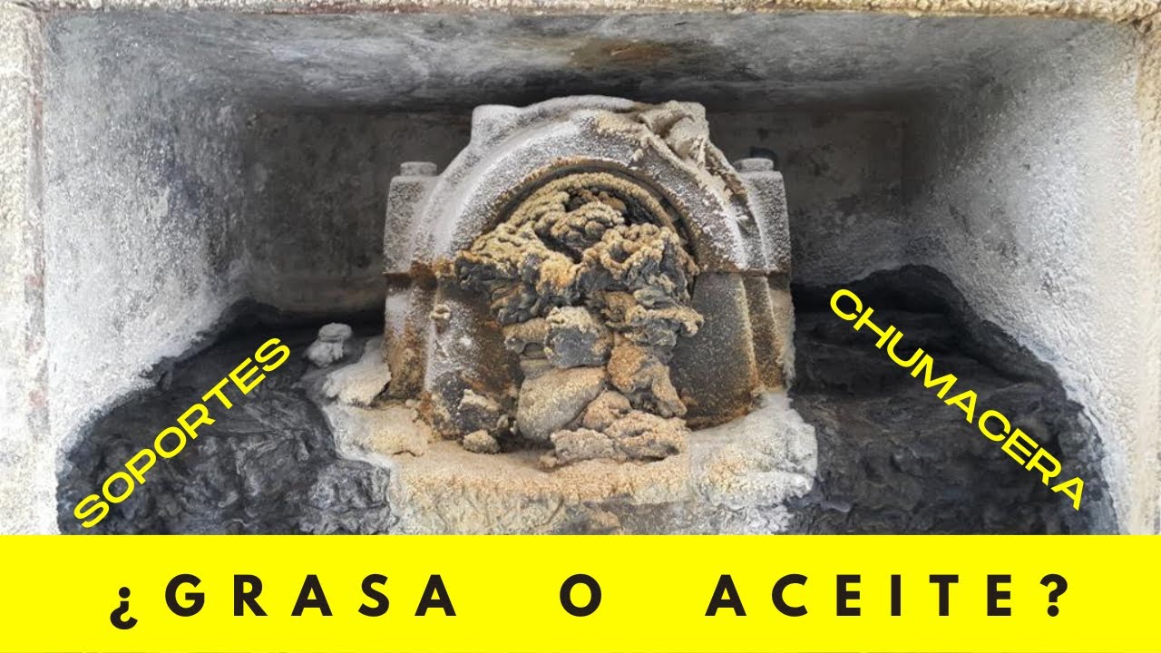 Lección 16: GRASA o ACEITE?? en chumacera(soporte)