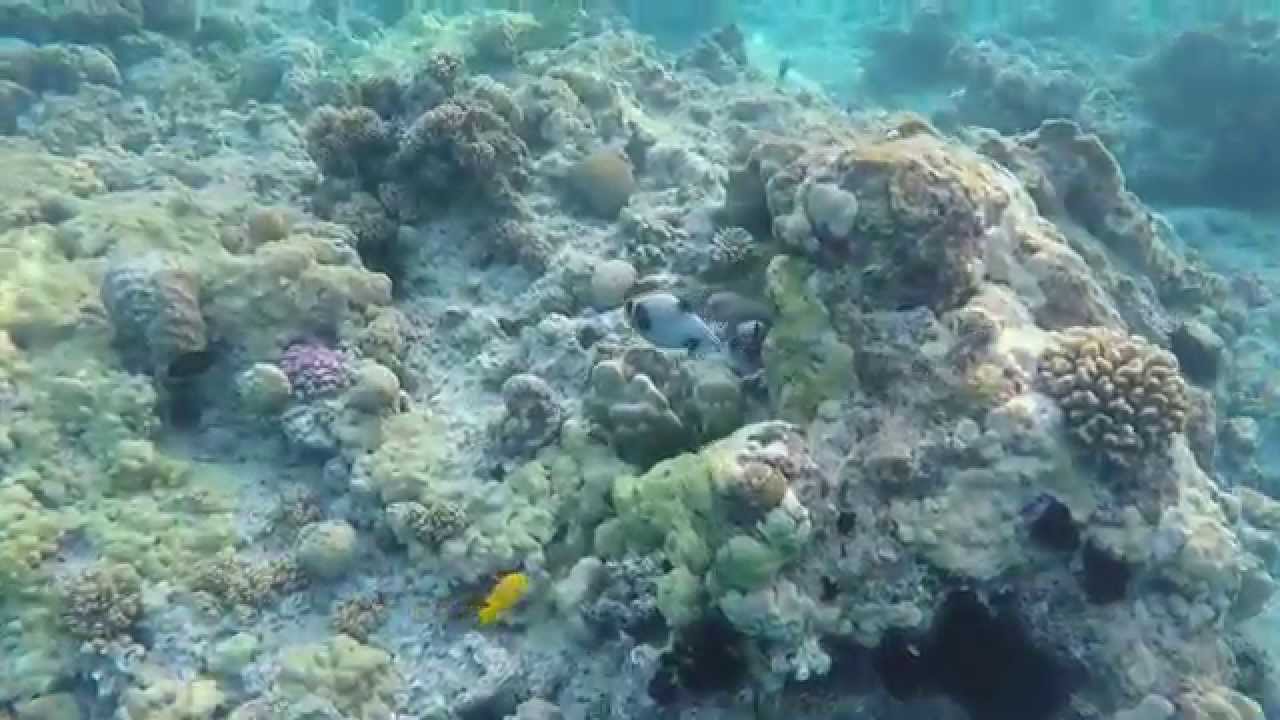 titanic beach hurghada pier snorkeling