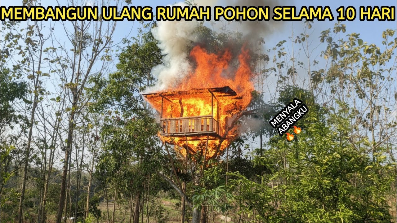 10 HARI AKU MEMBANGUN RUMAH POHON YANG BESAR DAN NYAMAN #danme #kookiko #pamanbara #bocahpecicilan 