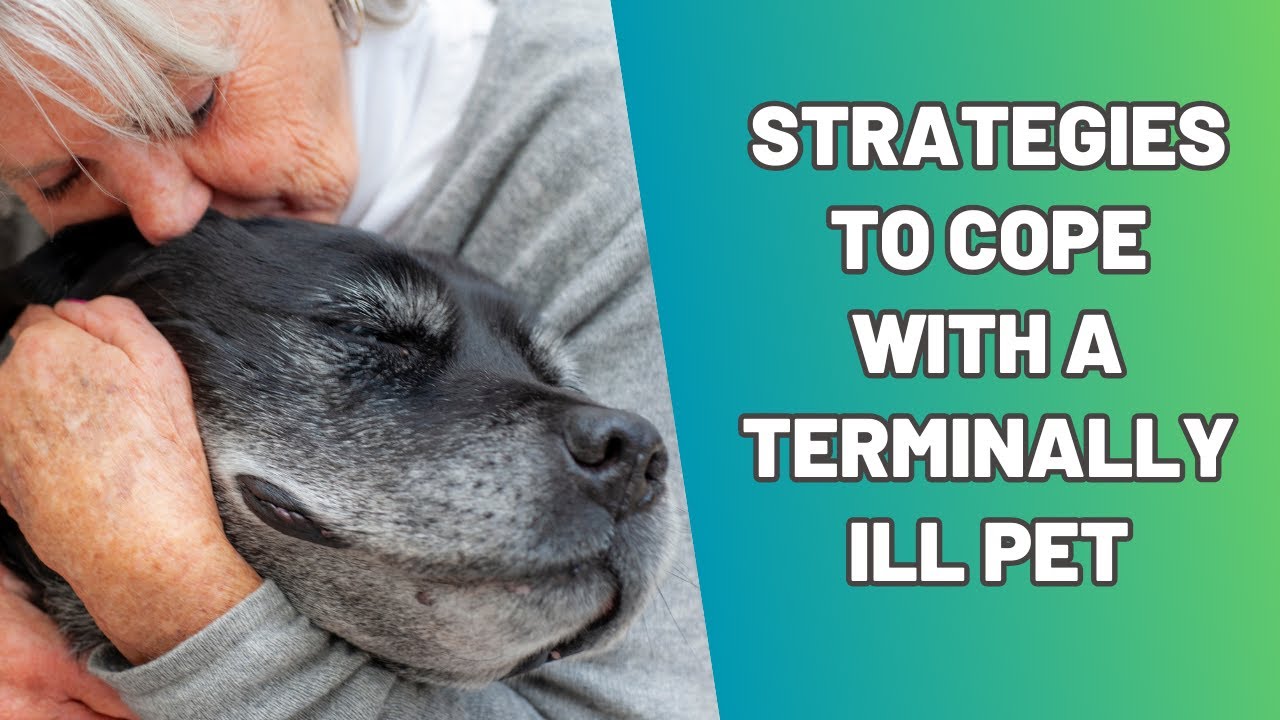 Dealing With The Pain: Coping With Anticipatory Grief For Our Furry Friends
