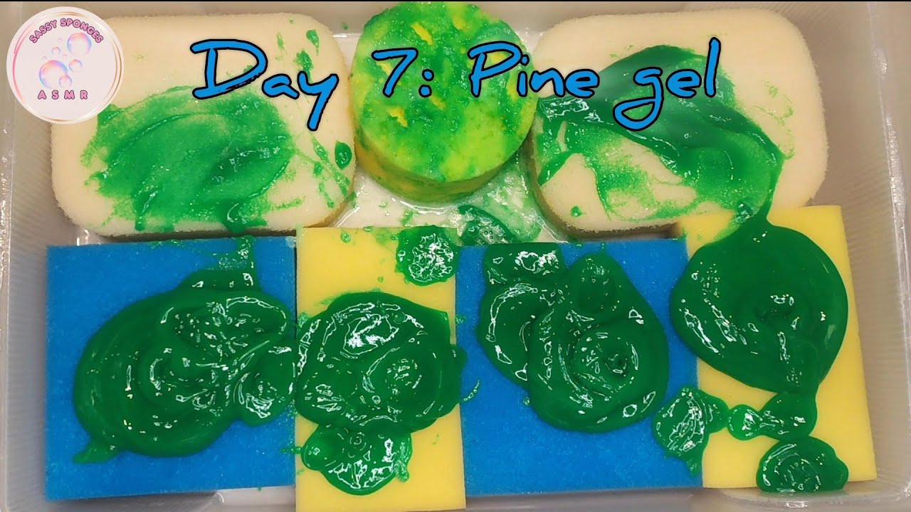 Day 7 🌲Pine gel + water💦 Squeaky sponge squeezing ✨ Sudsy rinsing🧽