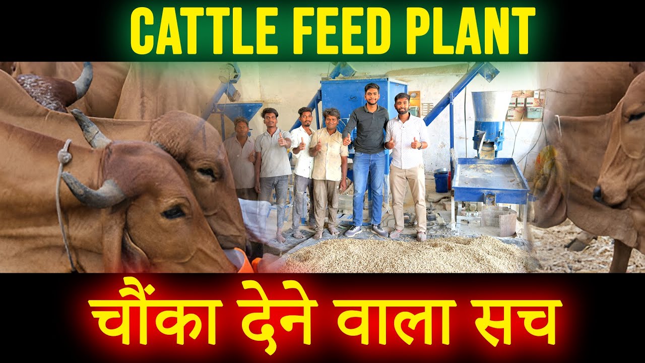 Cattle Feed Machine, Poultry Feed Machine, Fish Feed Machine | Price, Manufacturers & Project Cost