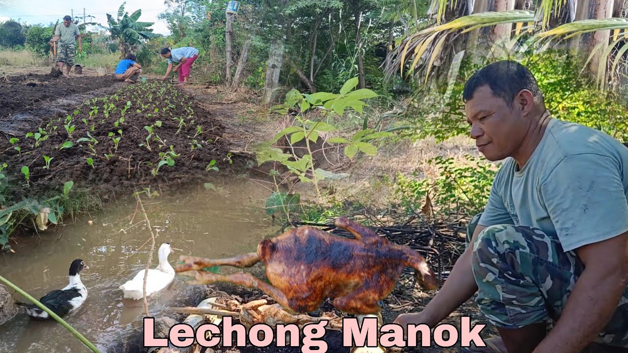 Farm Cooking Lechon Manok